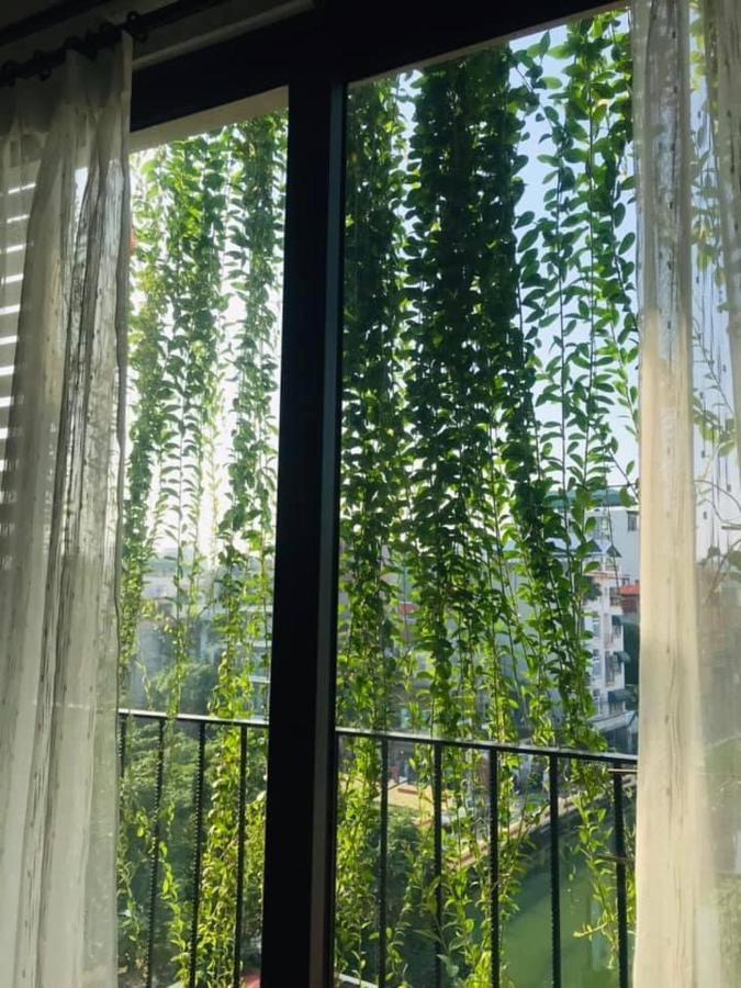 Bed and Breakfast Chez Madame Binh Ханой Екстер'єр фото
