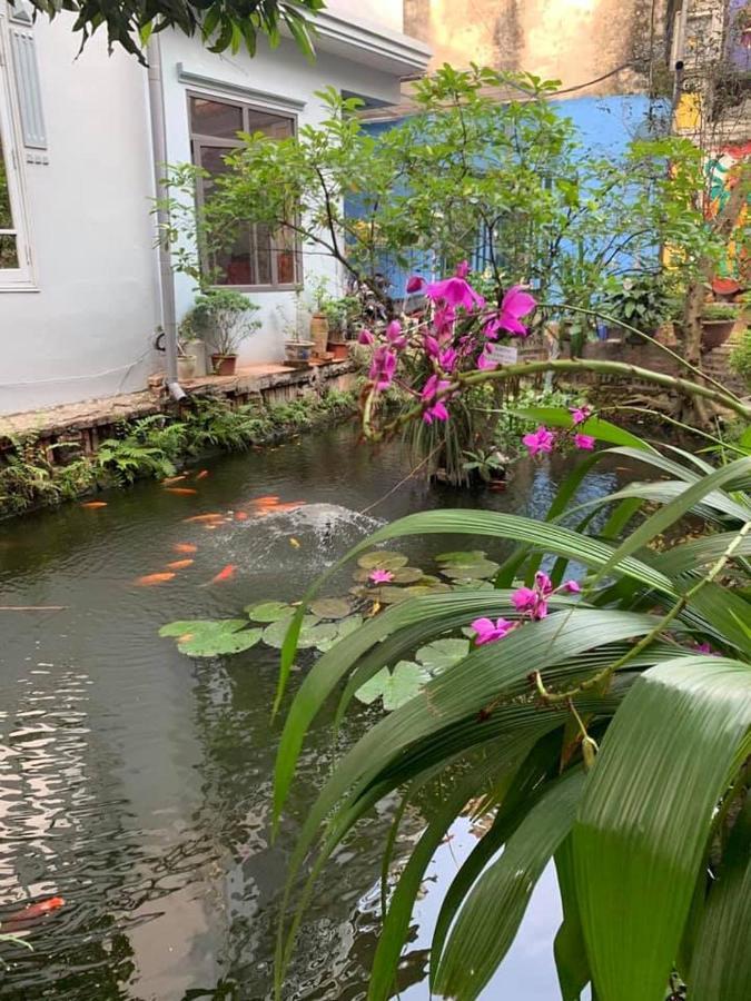 Bed and Breakfast Chez Madame Binh Ханой Екстер'єр фото